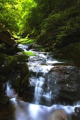 山涧溪流