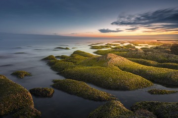 这片海