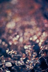 fromhell2
