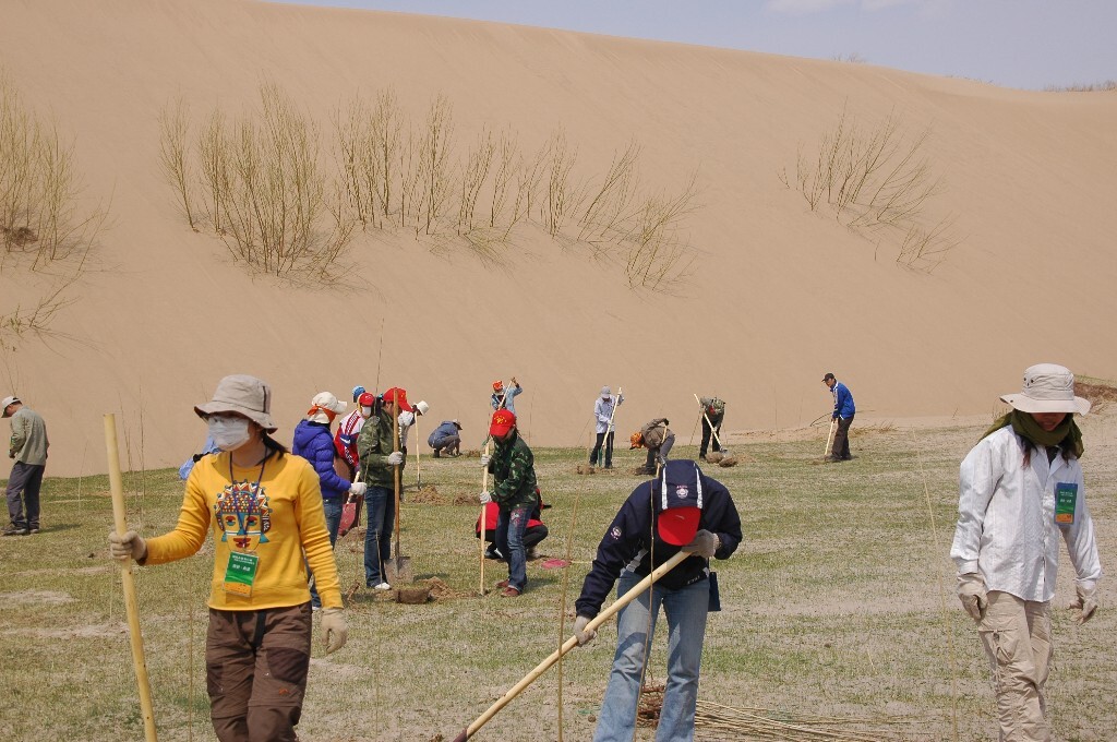 【人文】内蒙古，移动的沙漠，吞噬一切的沙丘，以及杯水车薪的志愿者植树活动