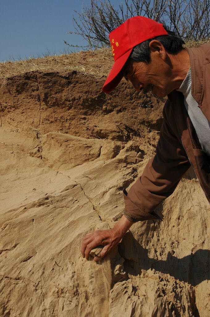 【人文】内蒙古，移动的沙漠，吞噬一切的沙丘，以及杯水车薪的志愿者植树活动