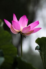 20090627-IMG_0495