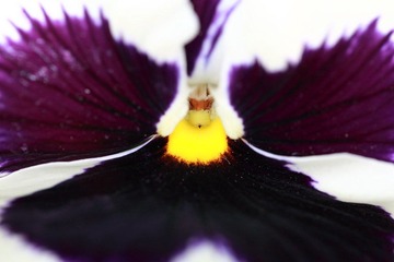 20100410-IMG_2850