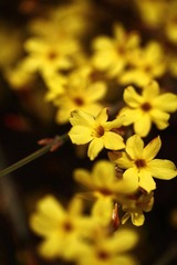 20100404-IMG_2680