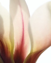 20100404-IMG_2608