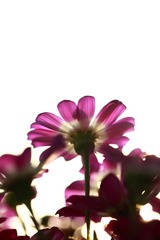 20100423-IMG_3041