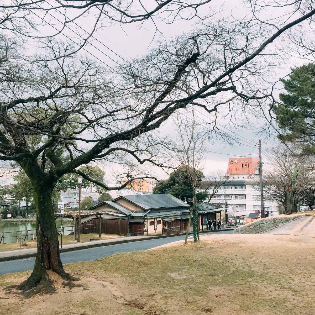 京都奈良 - 50mm, 镜头前不一样的天空 - 慕容秋