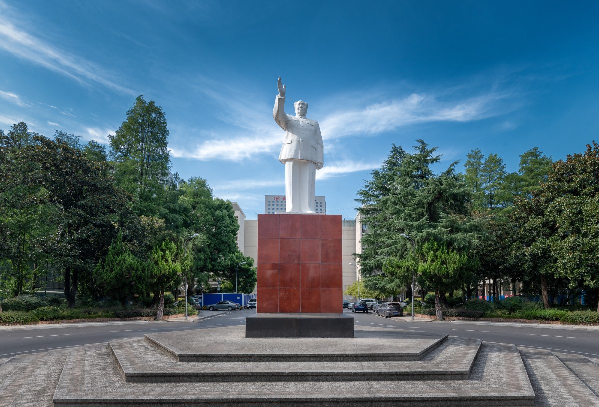 武汉大学医学部 - tianchunyu