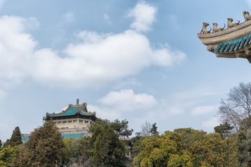 樱花节1