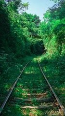 288057