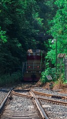 288056