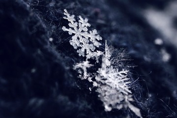 D85AA3BD-FF7D-4483-942F-D757729A3BB4/L0/001