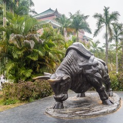 P2060058