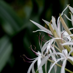 P3090008