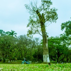 P3150096