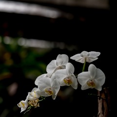 P3130043
