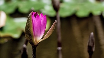P3130018