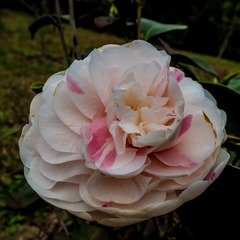 P3150089
