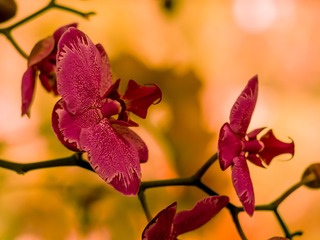 P3130044