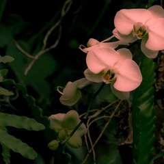 P3130010-2