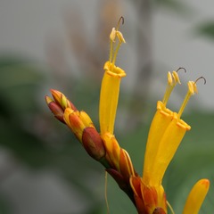 P4140015