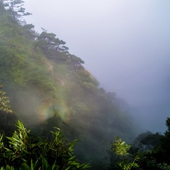 P7230039