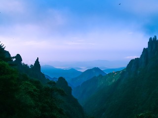 P7230005