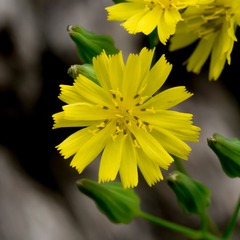 P4140035