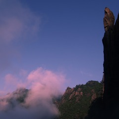 P7230019