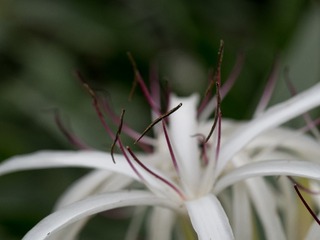 P4220010