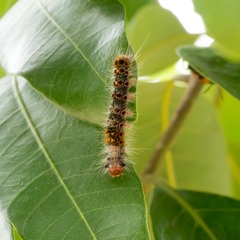 P5010355