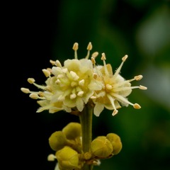 P5010348