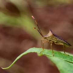 P5010287
