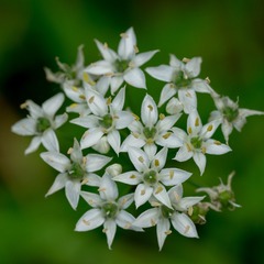 P5010281