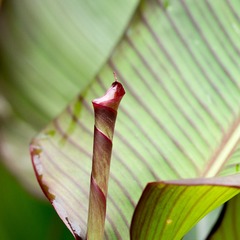 P5010284