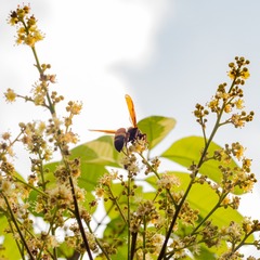 P5010295