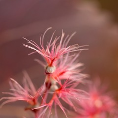 P4300215