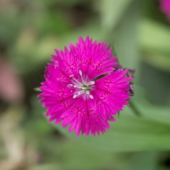 P5080424