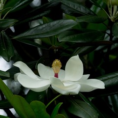P5250019