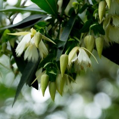 P5250028