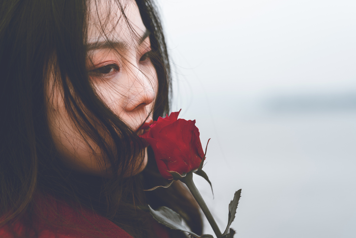 如血玫瑰
