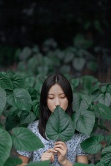 叶子