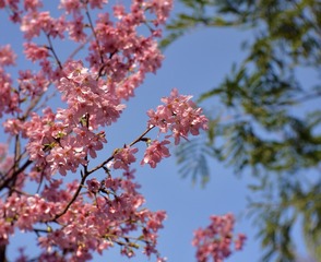 01A0F65E-5CF9-4302-9EC5-0129F477D215/L0/001