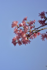 70DD2E3F-BFAE-4376-93B8-56D234795C23/L0/001