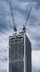 117层的高度