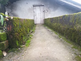 252812