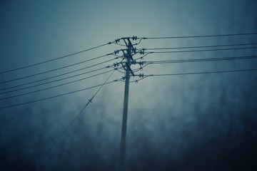 2099538