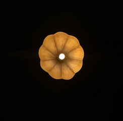 99BBCDB9-02BF-4FED-AB0C-49BC43723F31/L0/001