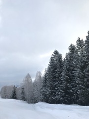 B0653CE8-380F-4234-802E-6D5B00523520/L0/001