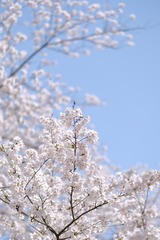 D1E10085-5C30-45D0-AB0A-983DE50CD9B4/L0/001
